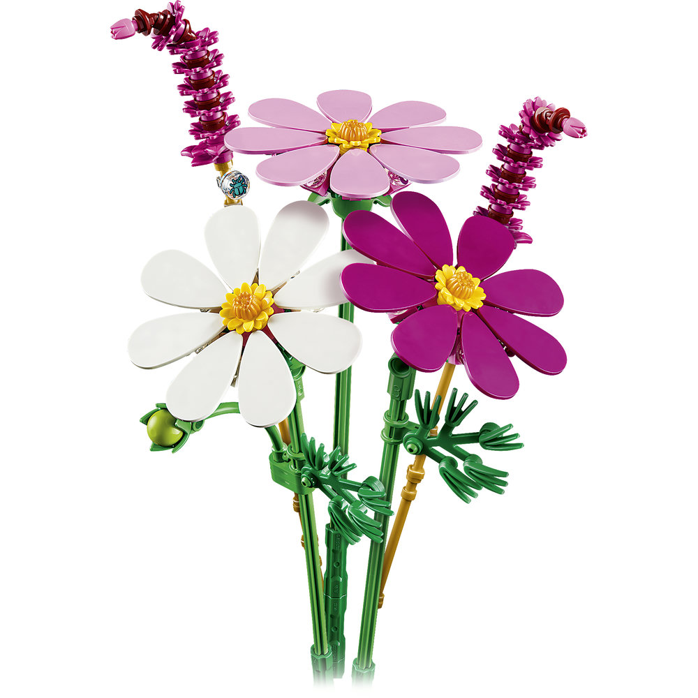 11514 Cosmos Flowers