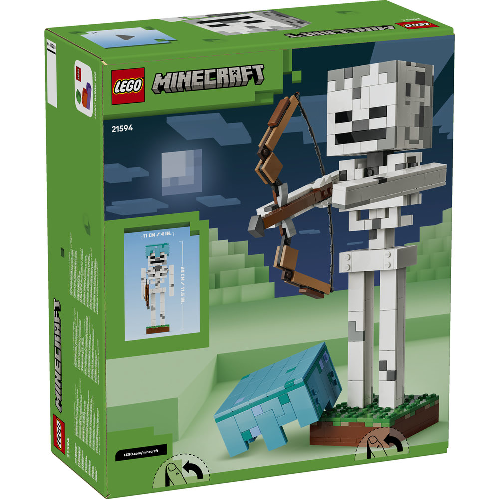 21594 The Skeleton