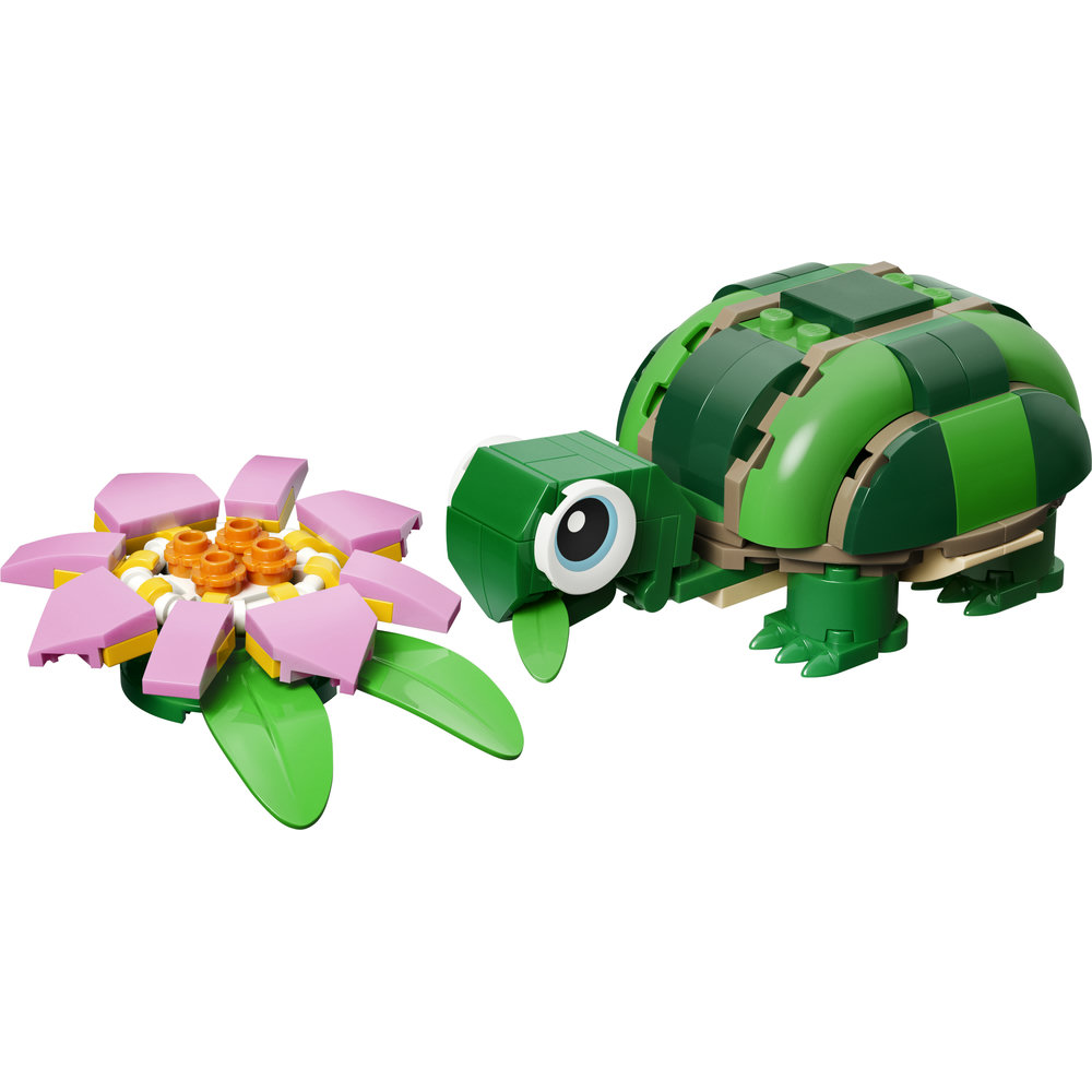 31377 Turtle with a Water Lily Flower