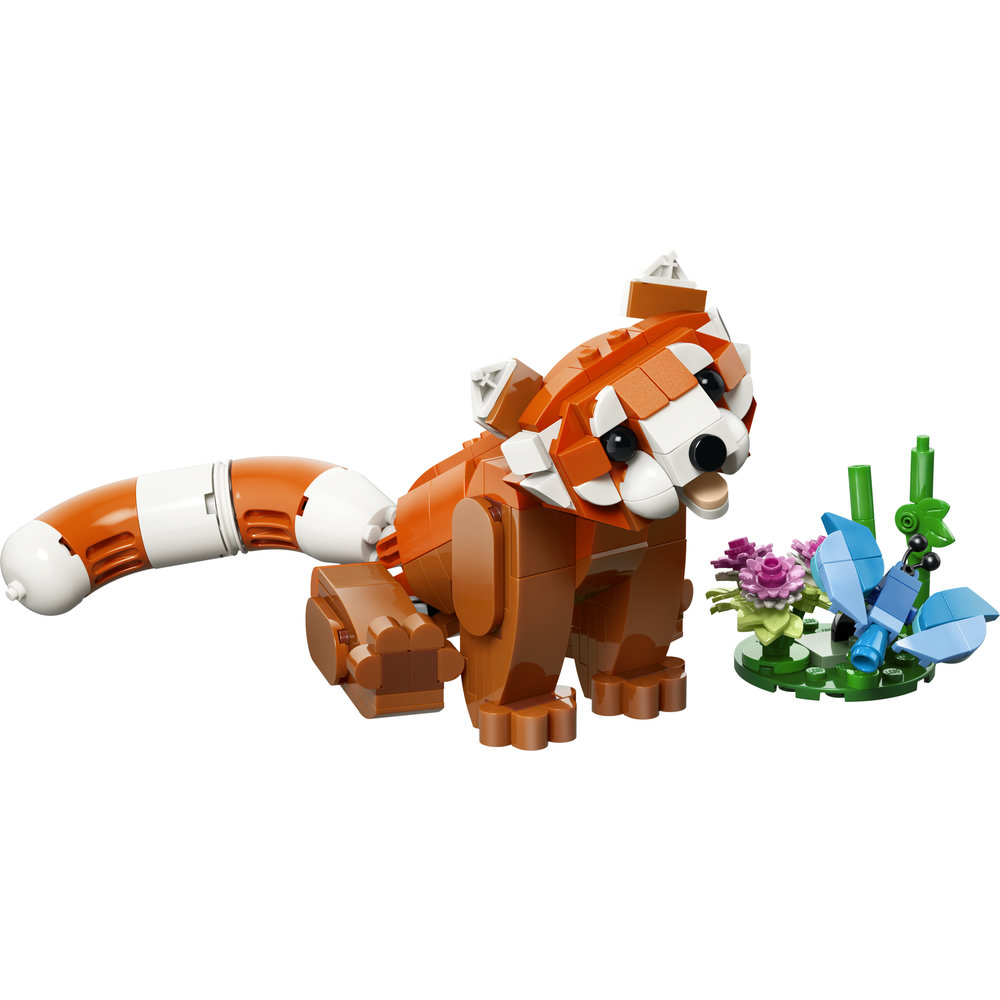31394 Cute Animals: Red Panda
