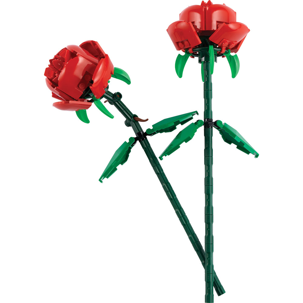 40460 Roses