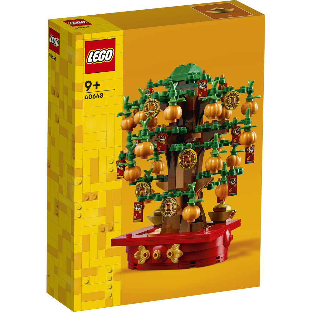 40648 Money Tree