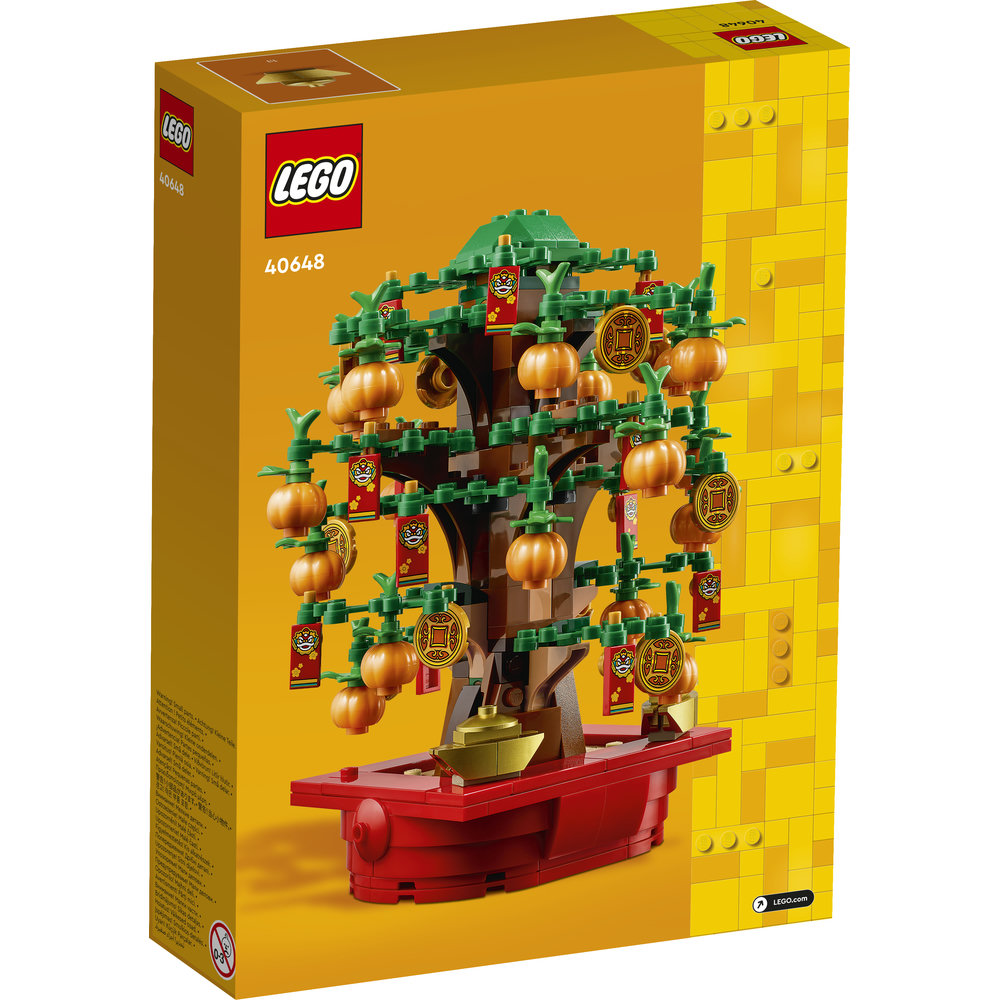 40648 Money Tree