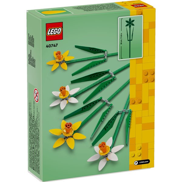 40747 Daffodils
