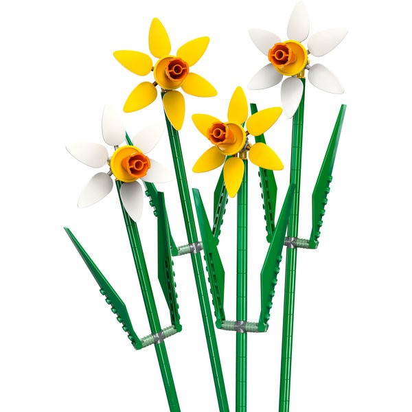 40747 Daffodils