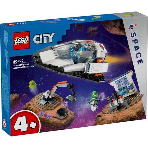 60429 Spaceship and Asteroid Discovery