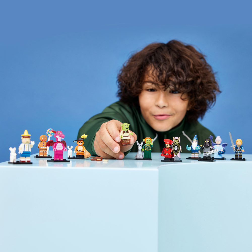 71053 Shrek Series