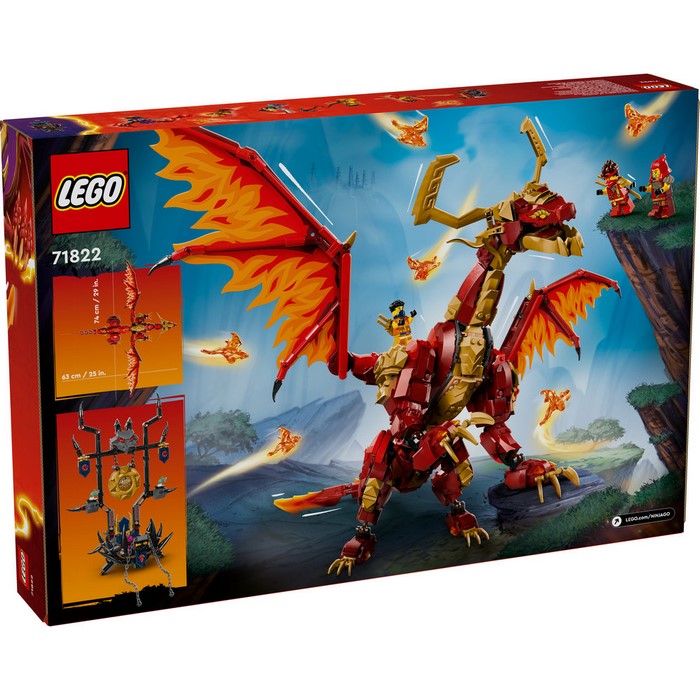 71822 Source Dragon of Motion