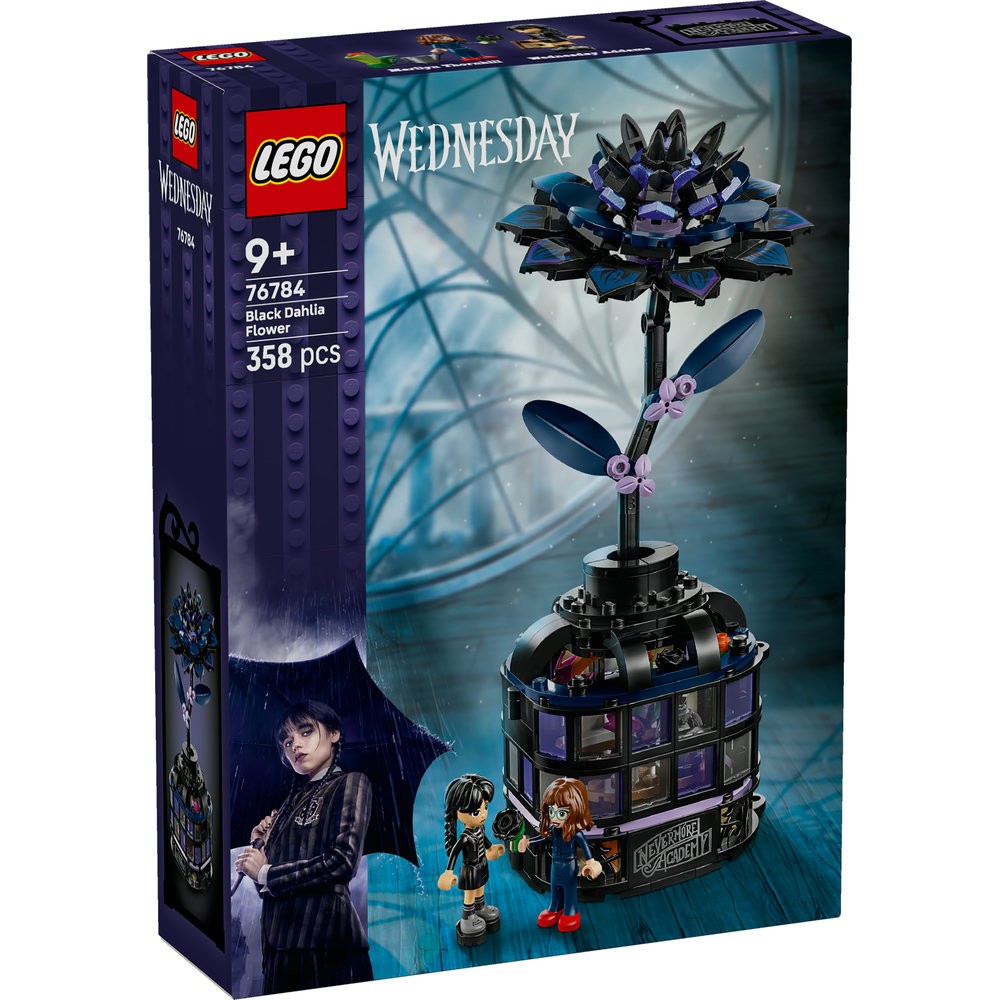 76784 Black Dahlia Flower