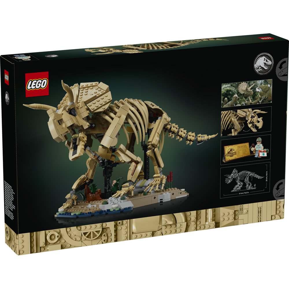77985 Dinosaur Fossils: Triceratops