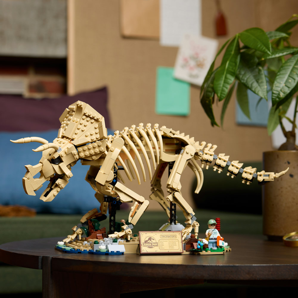 77985 Dinosaur Fossils: Triceratops