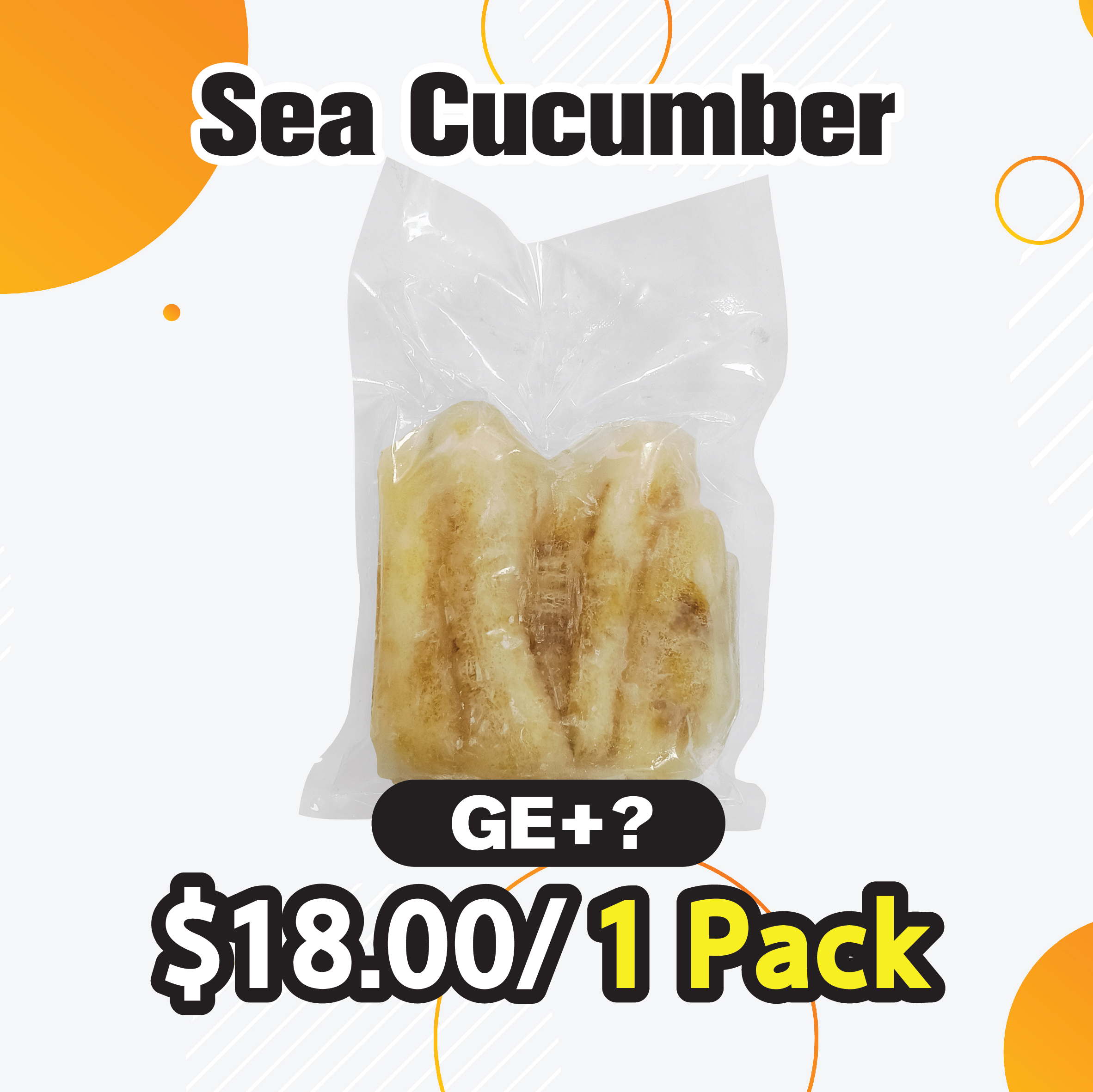 Sea Cucumber