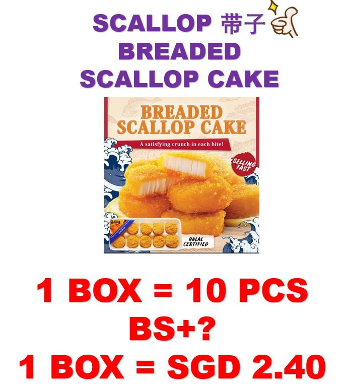 SCALLOP 带子 10PCS