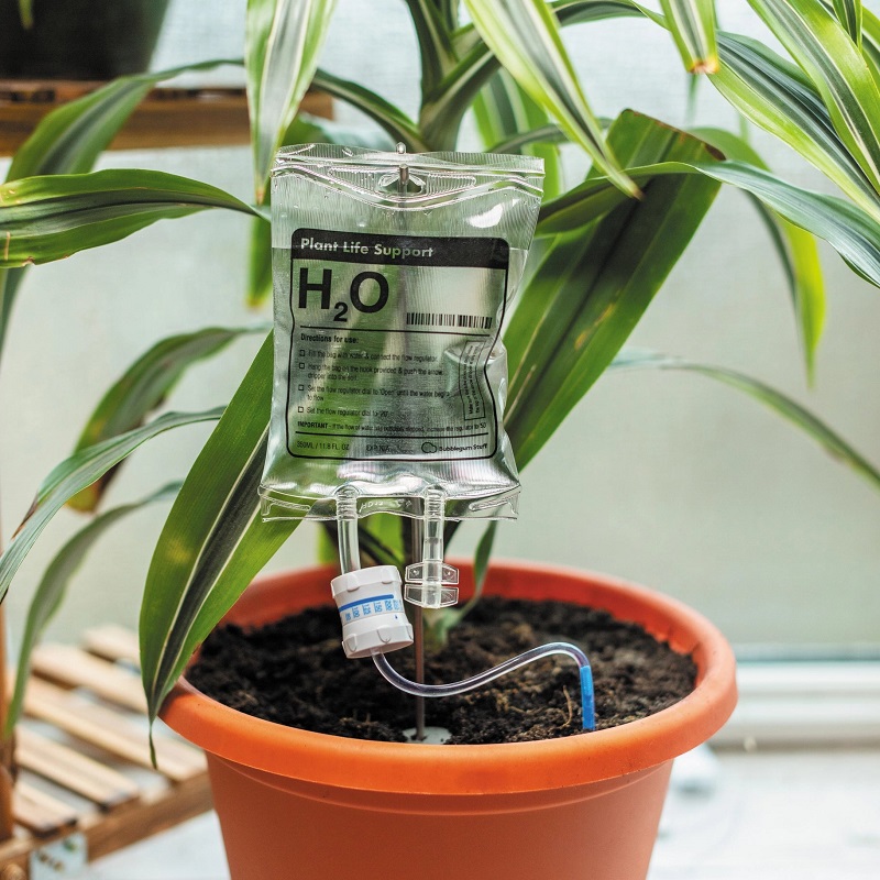 Plant Life Support Watering Device - BUY 3 GET EXTRA 20% OFF