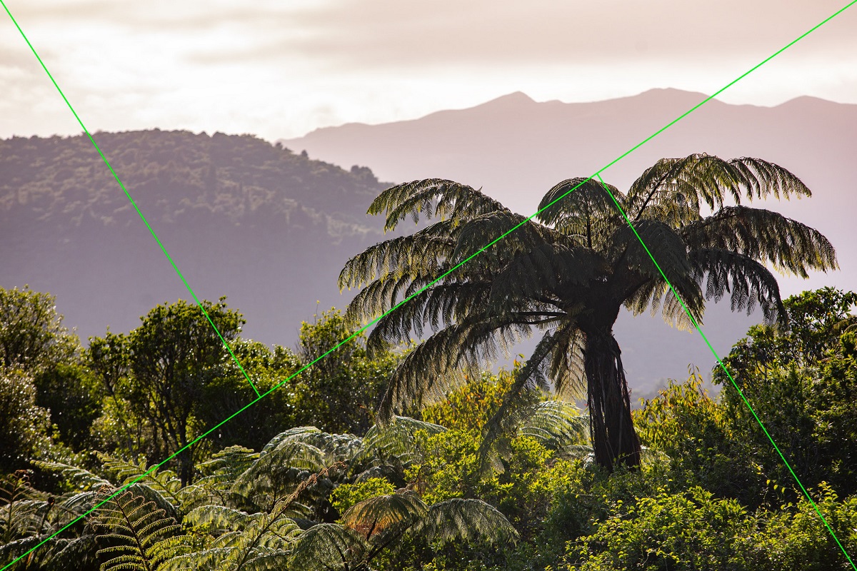 📷Portable Composition View Finder