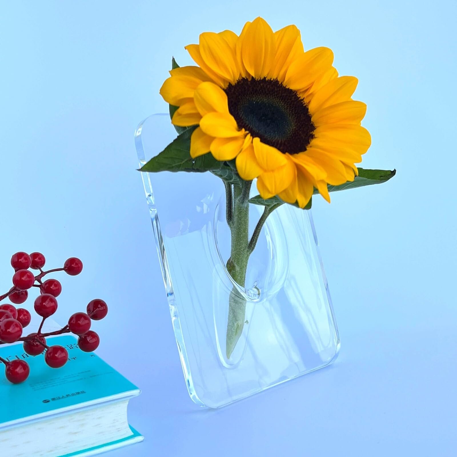 Mother's Day Hot Sale💕🤰-Transparent Creative Art Frame Vase 🌸🖼️