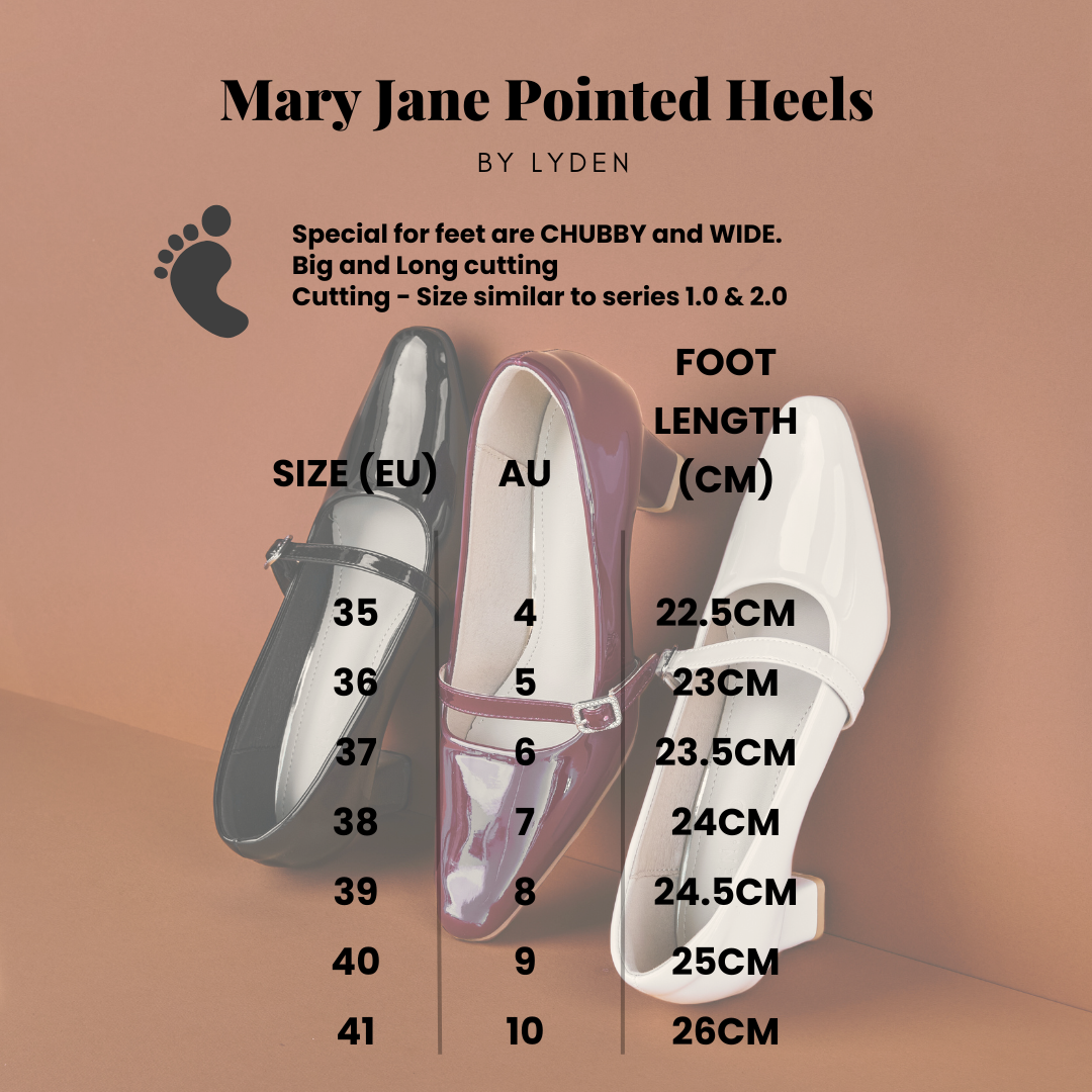 【NEW】Lyden Mary Jane Pointed Heels Series 6cm pump heels - Classic Black//Maroon//Apricot