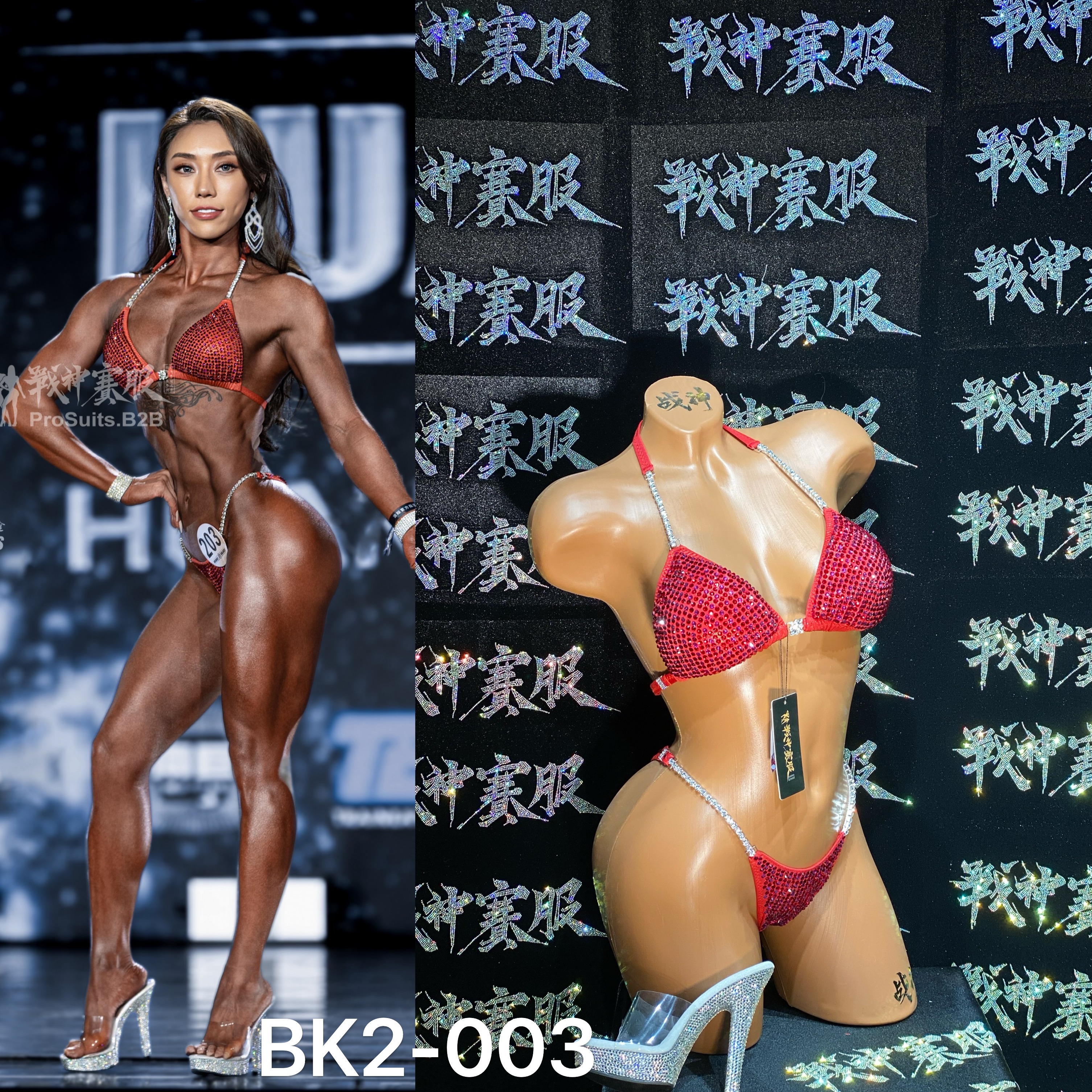 BK2-003 Competition Bikini Custom-Made for Bikini and Wellness ProSuits Dan Liu