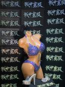 Elite (Underwire)