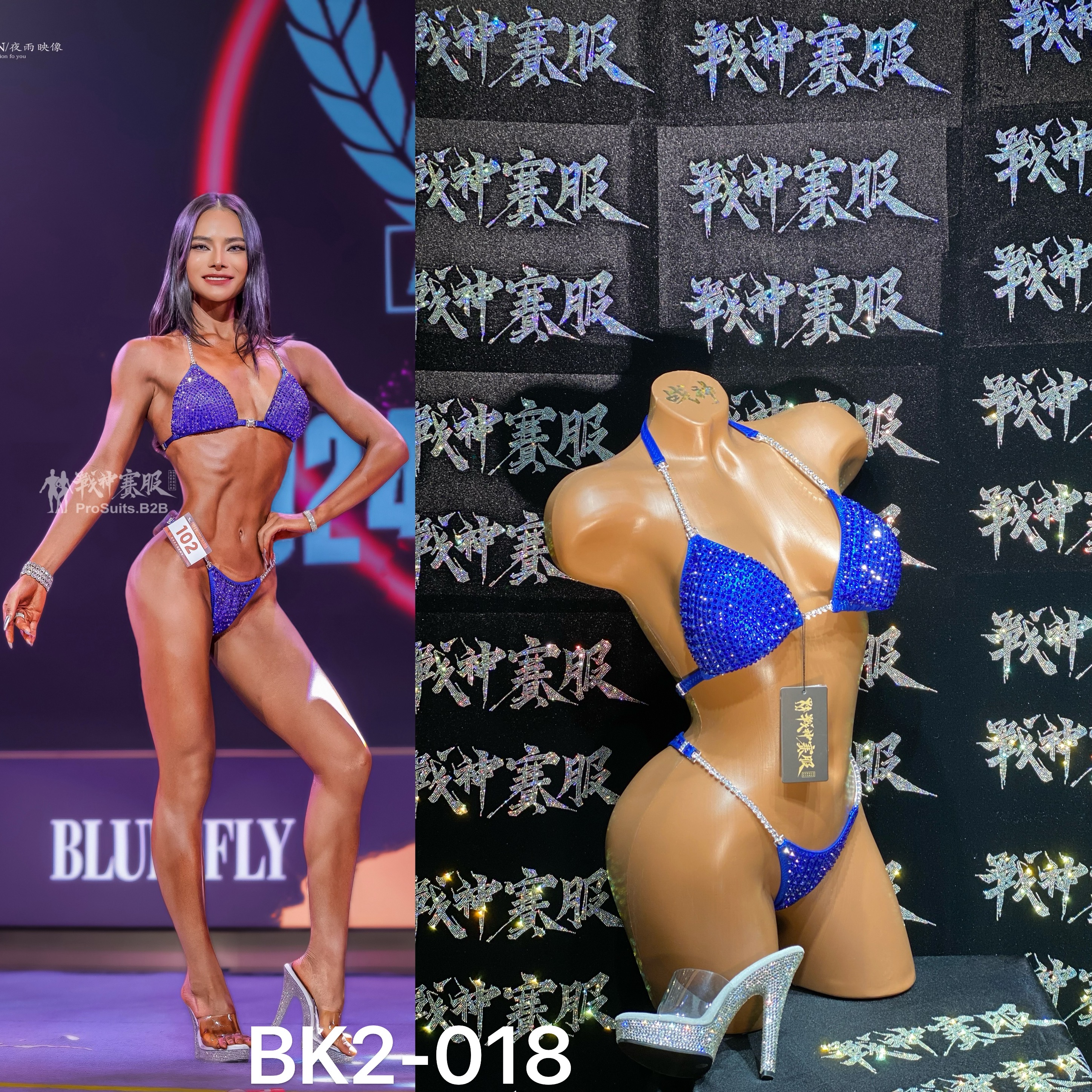 BK2-018 Competition Bikini Custom-Made for Bikini and Wellness ProSuits