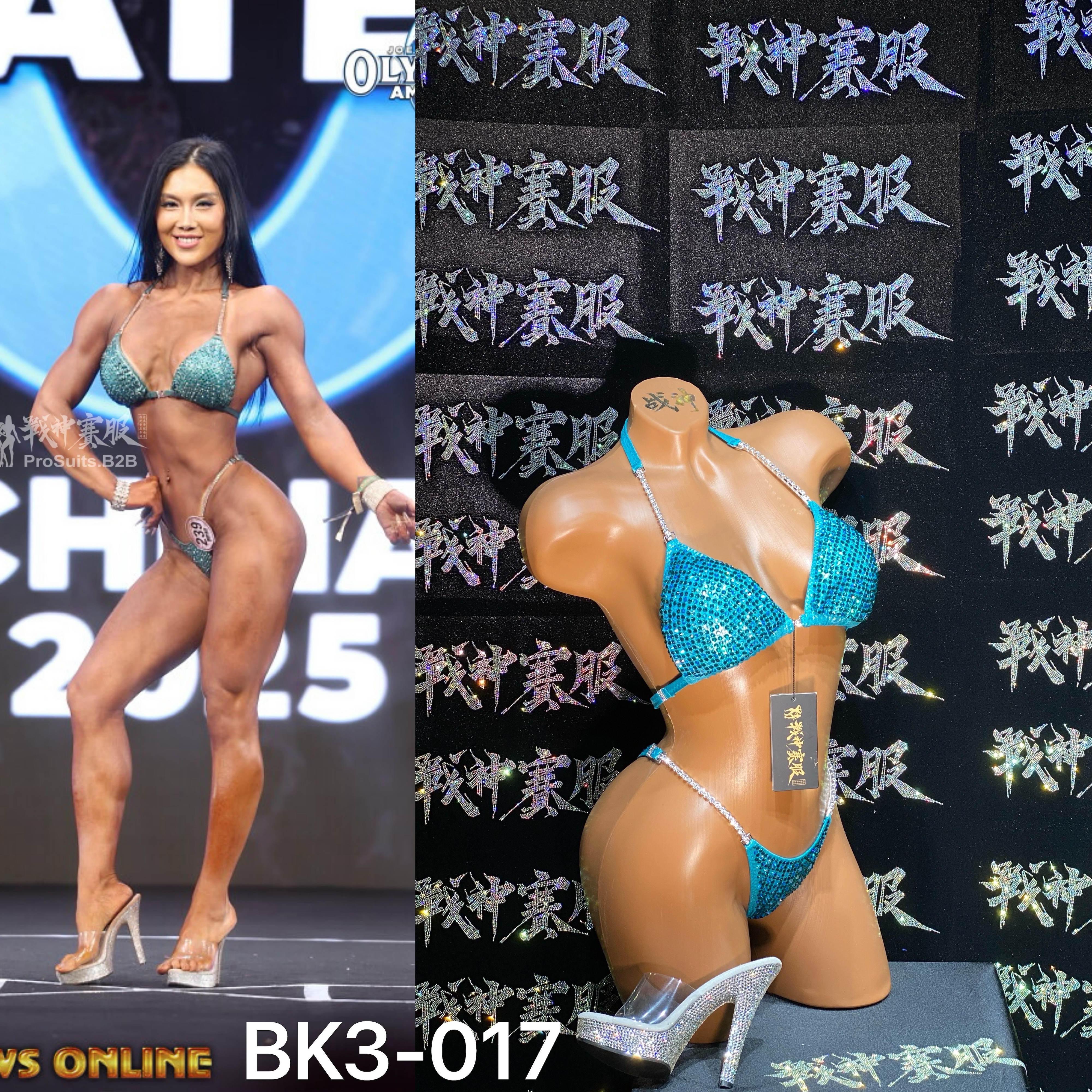 BK3-017 Competition Bikini Custom-Made for Bikini and Wellness ProSuits Rong Wang