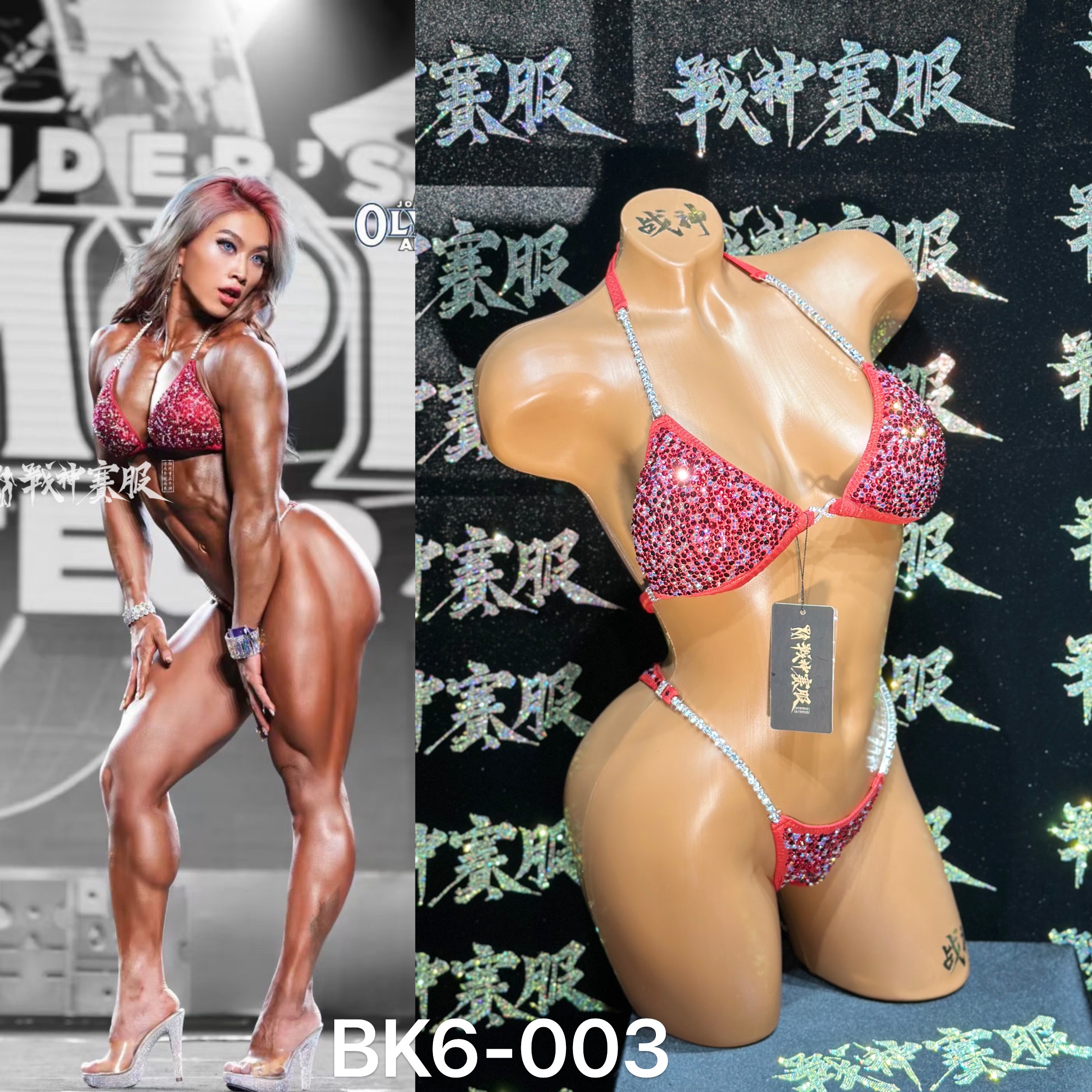 BK6-003 Competition Bikini Custom-Made for Bikini and Wellness ProSuits Yajie Shen