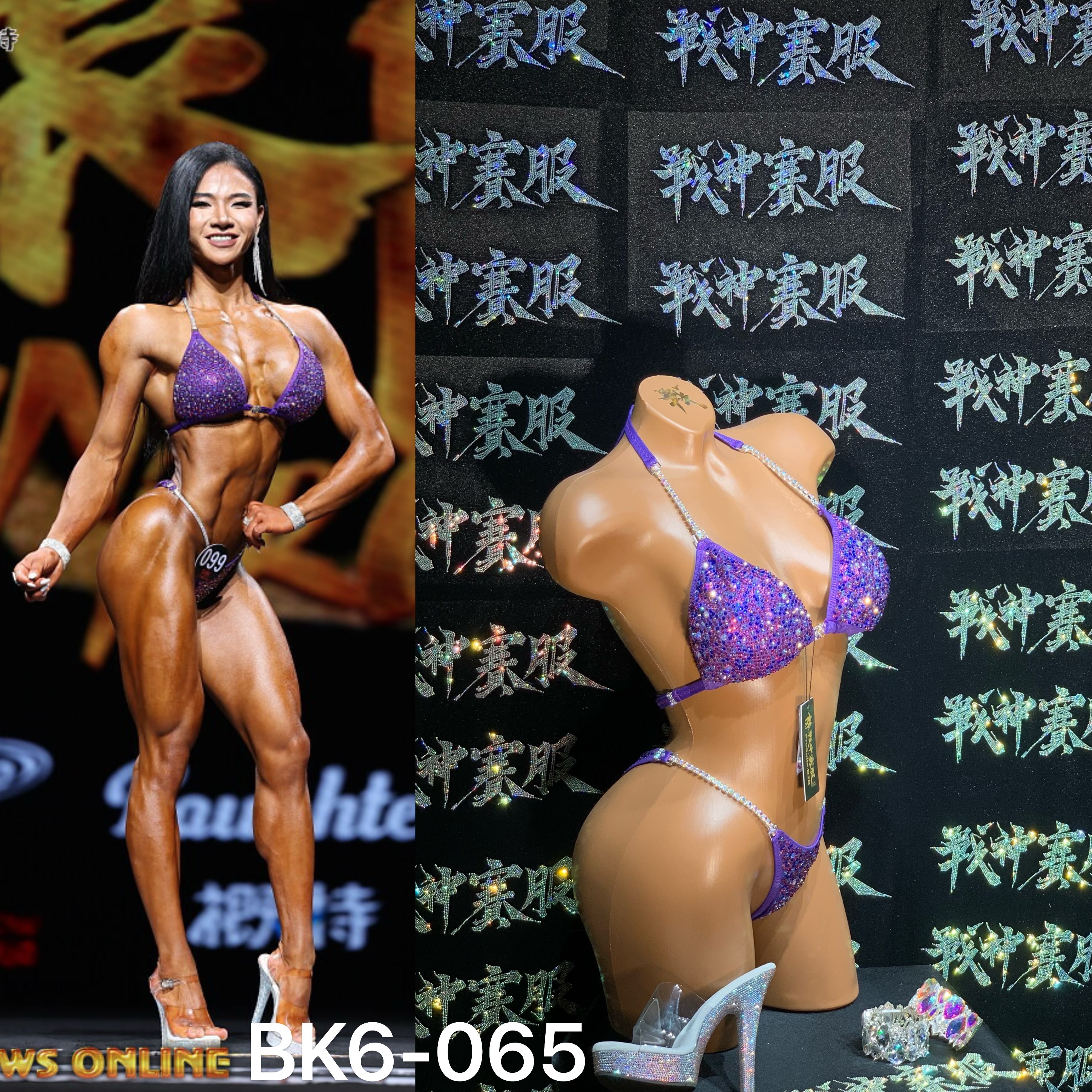 BK6-065 Competition Bikini Custom-Made for Bikini and Wellness by ProSuits