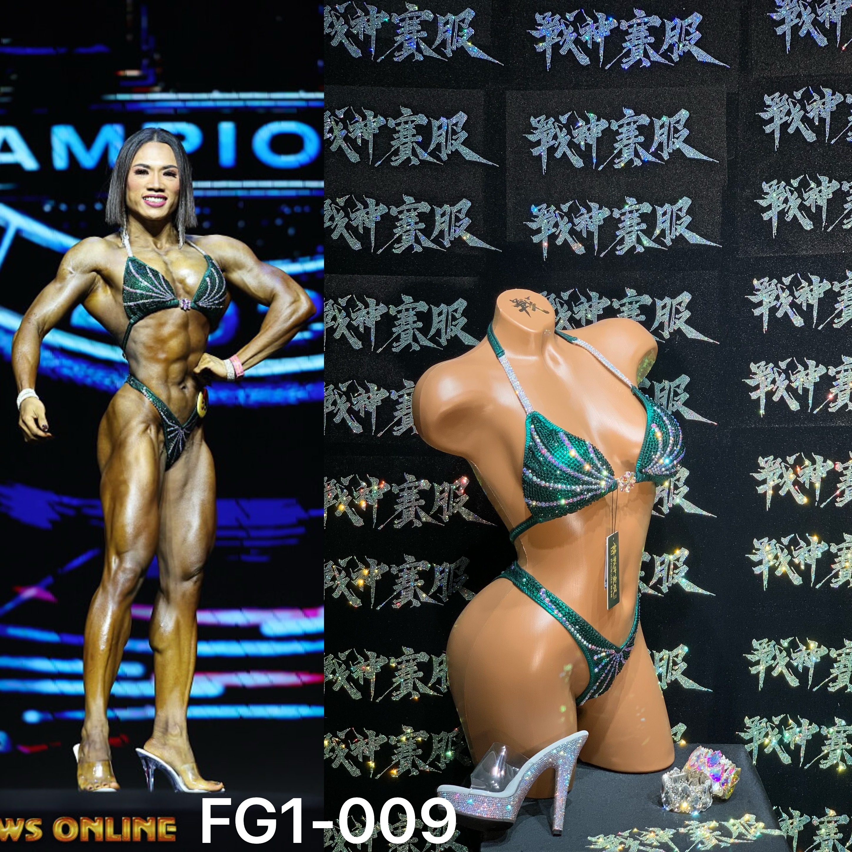 FG1-009 Competition Bikini Custom-Made for Figure/WP/WBB by ProSuits