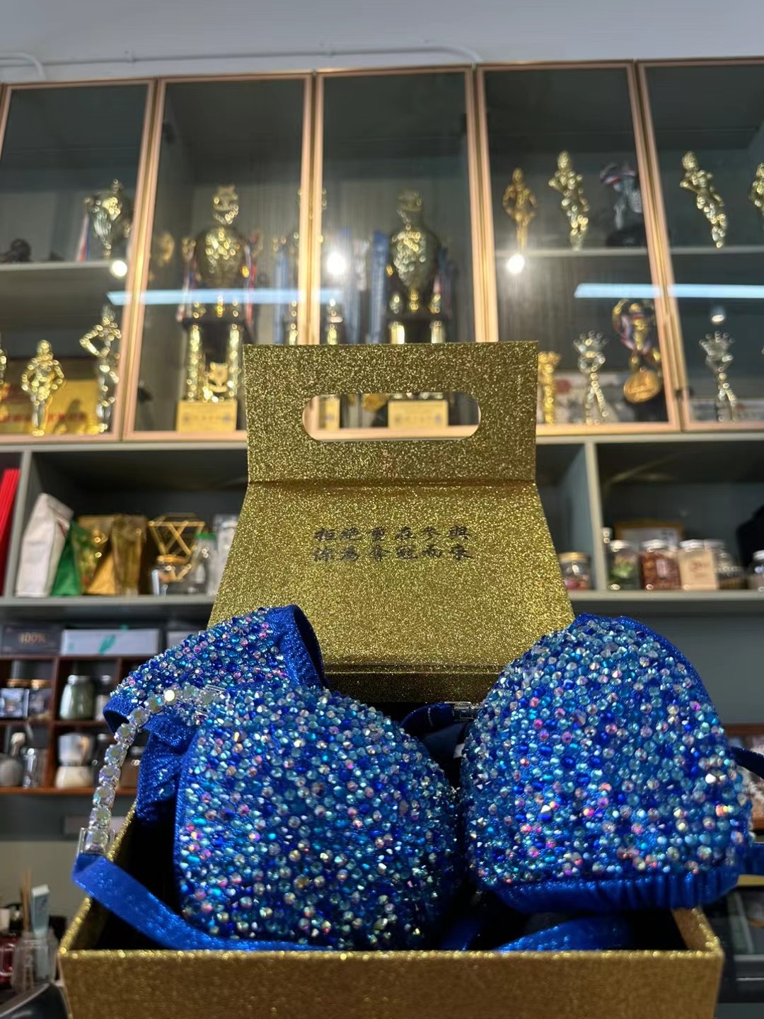 BK6-038 Competition Bikini Custom-Made for Bikini and Wellness ProSuits Xueqing Zeng