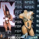 FG3-009