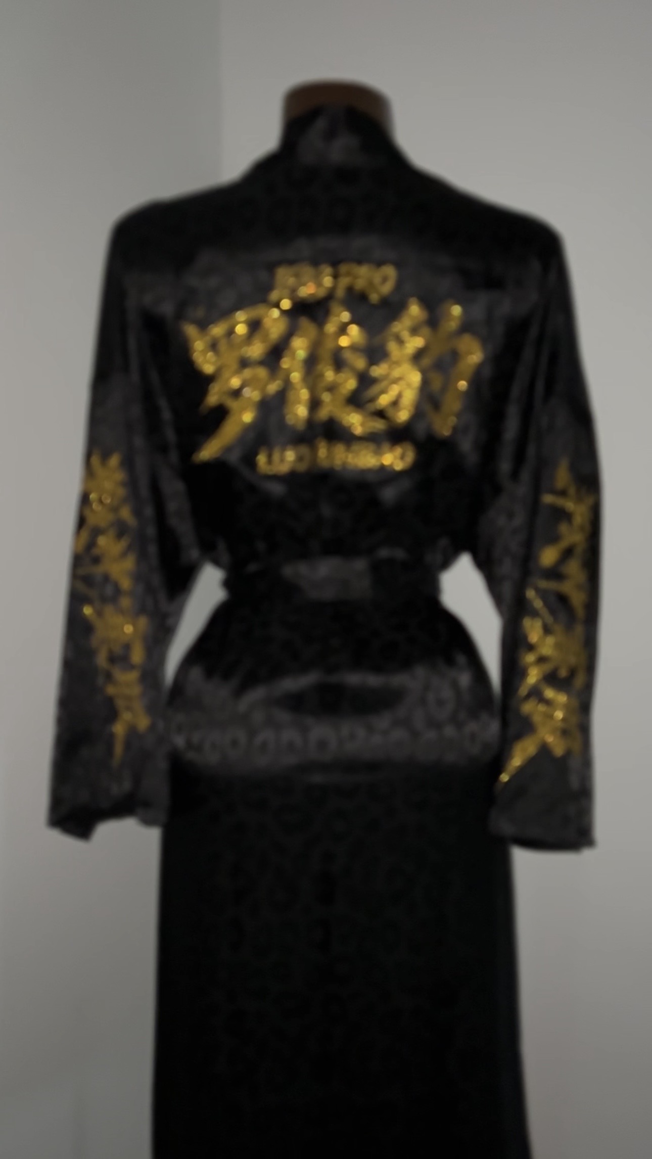 Backstage Robe with Crystals by ProSuits