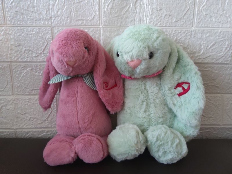 Embroidery Initials Jelly Cat Bunny Meow Meow Cat 29cm