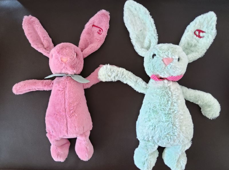 Embroidery Initials Jelly Cat 29cm Green