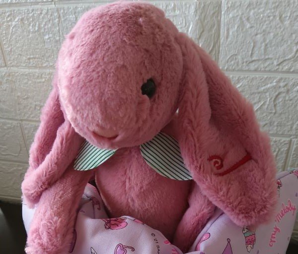 Embroidery Initials Jelly Cat 29cm Purplish Pink