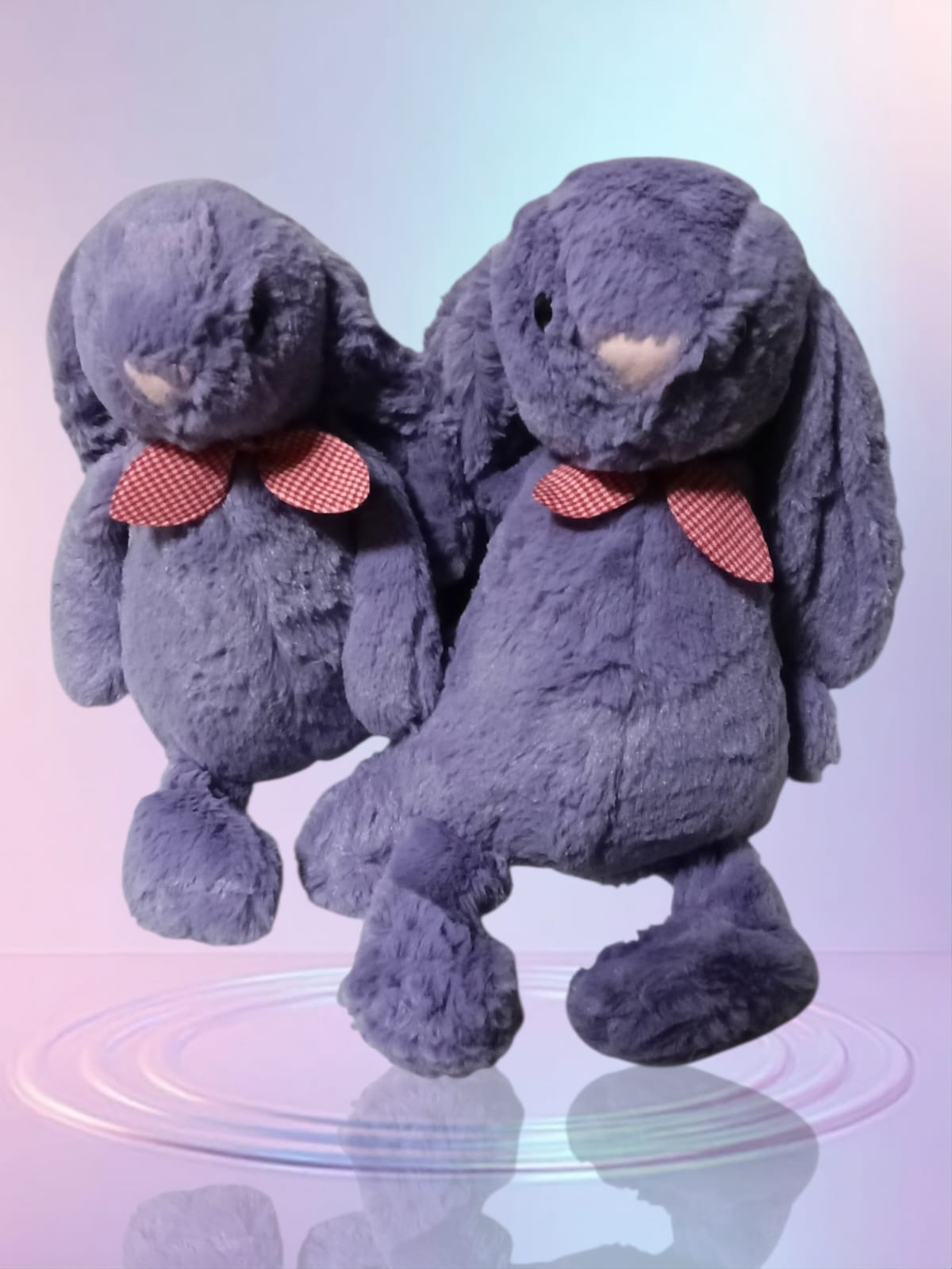 Embroidery Initials Jelly Cat Bunny Meow Meow Cat 29cm