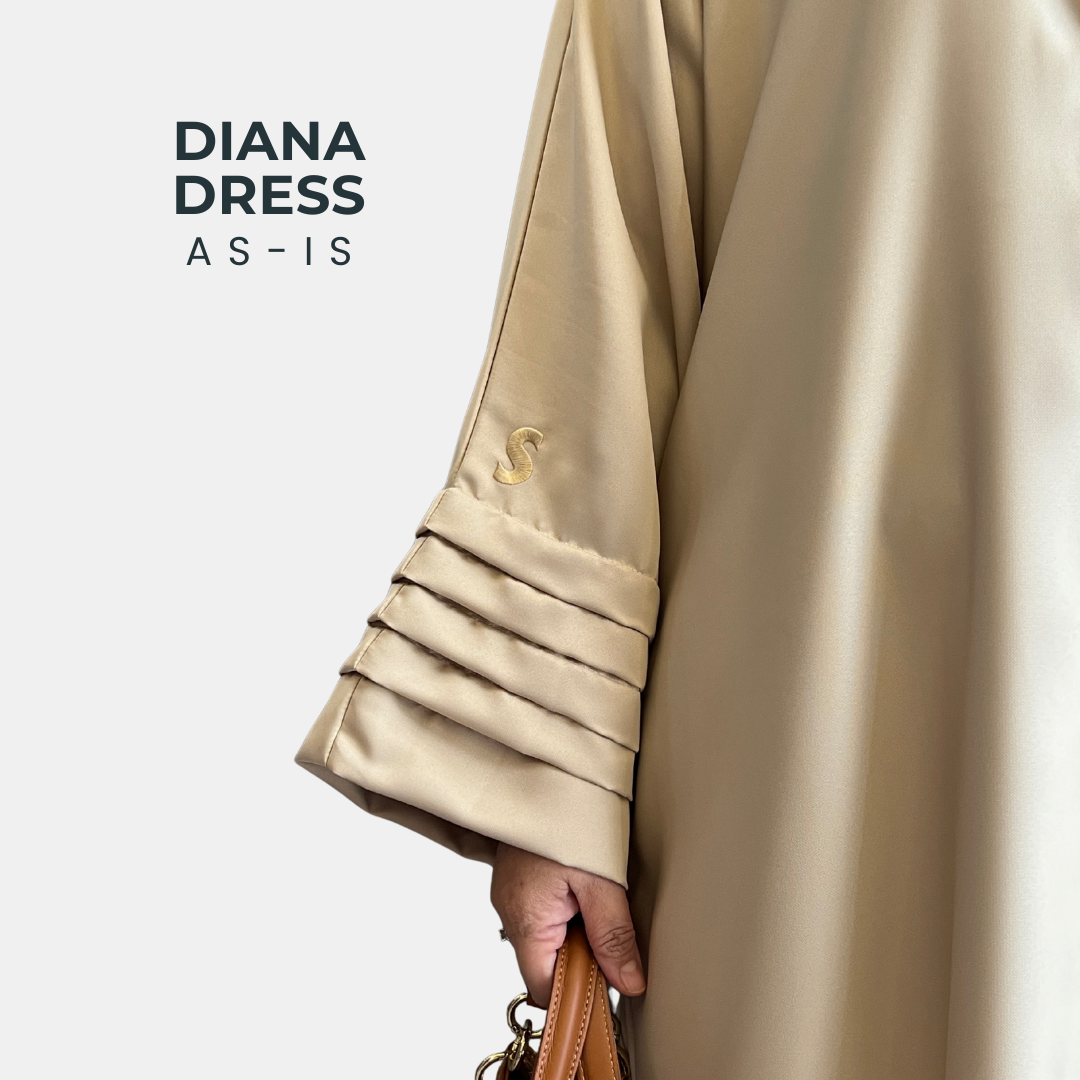 (AS-IS) DIANA DRESS