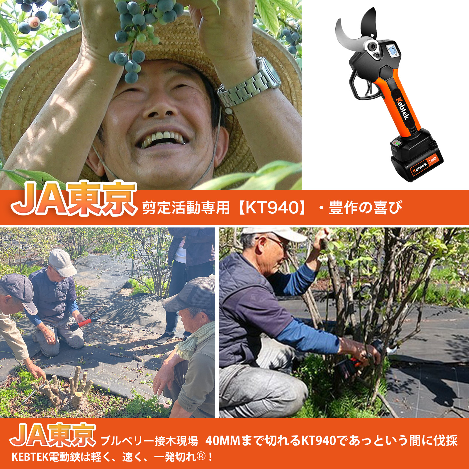 Kebtek 高枝切り電動剪定鋏 21V コードレス 切断径40mm 延長ポール付き 品番KT940-SET