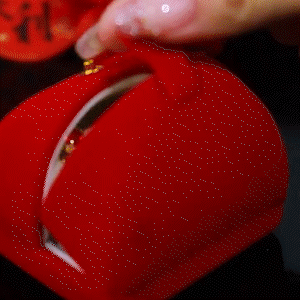 紅色水晶滿鑽耳環 【一款兩戴】