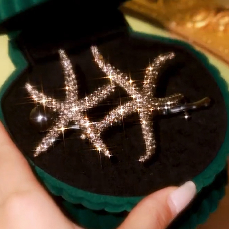 復古海星一字夹盤發神器-FANYIACC