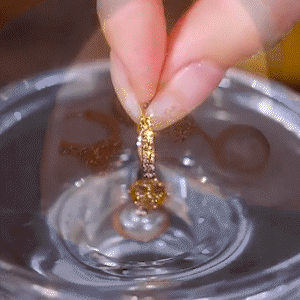 鎏金香檳流蘇耳墜