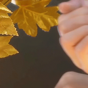 五福臨門榴槤愛心耳扣