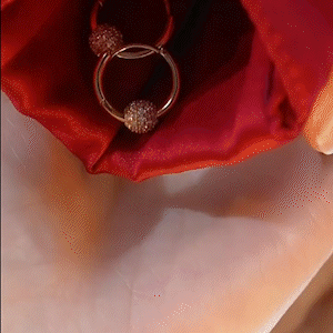 氣質小鑽球耳圈耳環