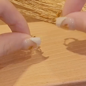 麥穗圈圈金色耳環