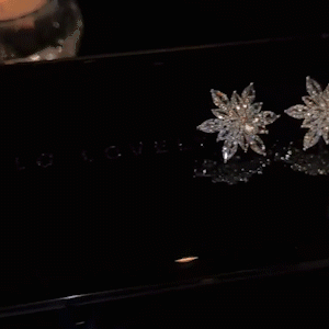 超閃浪漫雪花耳環