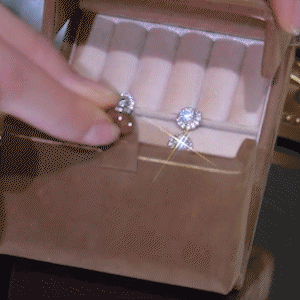 閃耀鋯石流蘇耳環   