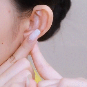高級感鋯石花耳扣耳環