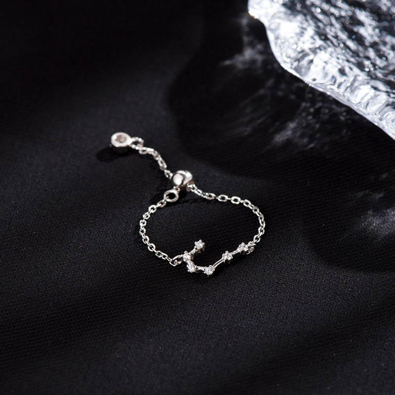 十二星座戒指 | 純銀S925復古素圈指環