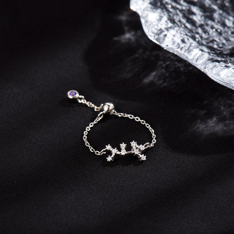 十二星座戒指 | 純銀S925復古素圈指環