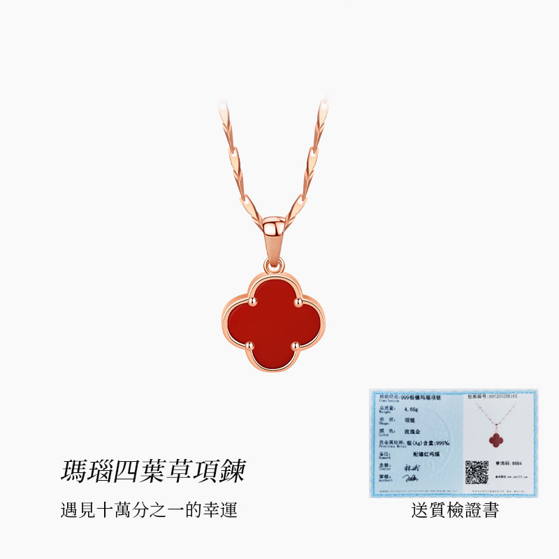 幸運遇見四葉草S999純銀項錬 