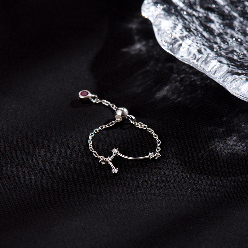 十二星座戒指 | 純銀S925復古素圈指環